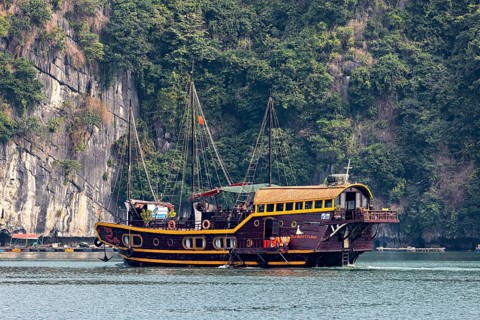 A traditional sailing boat with a wooden structure floats on calm waters in front of a tree-covered
