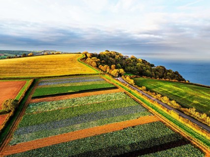 Colours of autumn Fields and Farms over Sheldon from a drone, Torbay, Devon, England, United