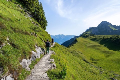 Hikers on a hiking trail on the Schynige Platte, picturesque mountain landscape, Bernese Alps,