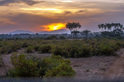 Sunrise in Samburu National Park, Rift Valley, Kenya, Samburu National Park, Kenya