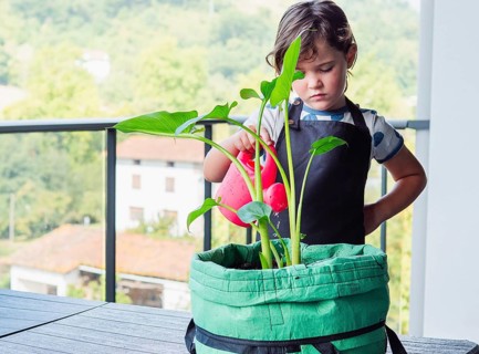 A young girl carefully waters a growing plant from a bright pink watering can. She is standing on a