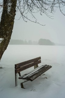 Snow-covered park bench, Swabian Alb, Baden-Württemberg, Germany