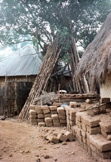 Clay bricks and wooden piles Building materials Roten village, Northern Province, Sierra Leone,