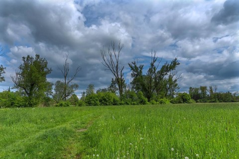 Wisenlandschaft, Schrobenhausen, Upper Bavaria, Germany