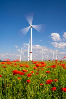 Wind farm, field with flower strips, insect-friendly border of fields with mixed flowers, poppies,