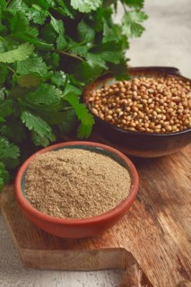 A bunch of fresh cilantro, coriander seeds and powder bowls, close-up, top view, no people, food