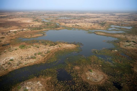 Wetland, landscape, aerial view of the Okavango Delta, near Maun, Okavango Delta, Botswana