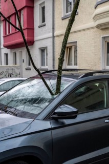 North Rhine-Westphalia, Germany, storm damage, a good 4 metre long branch was broken off by the