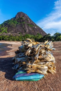 Dry fish before the huge granite hills, Cerros de Mavecure, Eastern Colombia