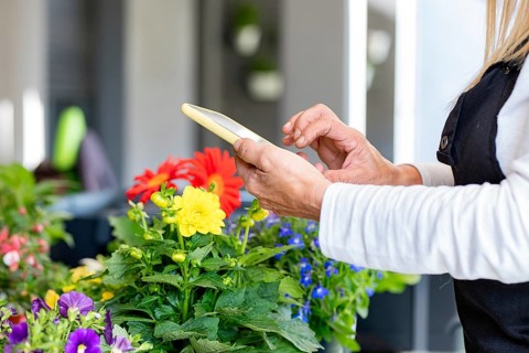 A gardener wearing an apron uses a smartphone amid vibrant flowers. The colorful blooms include