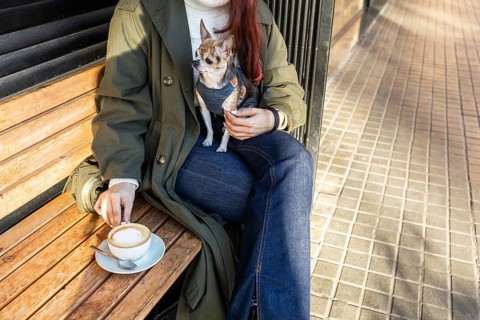 A woman sits on a wooden bench with a small chihuahua, sipping coffee. The cozy scene exudes warmth