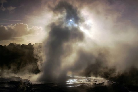 New Zealand, North Island, water fountain, Whakarewarewa, Pohutu geyser, New Zealand