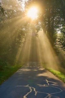 Forest road at sunrise, rays of light break through the trees in a foggy atmosphere, Großheubach,
