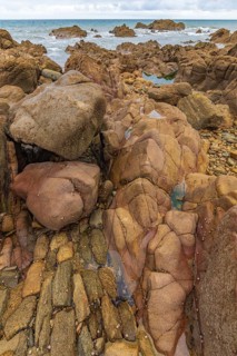 Rocks covered with shells on the Atlantic coast. Sables d'Olonne, Vendee France
