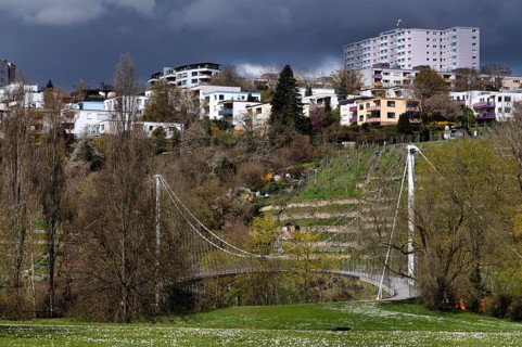 Max-Eyth-Steg, also Golden-Gatele, footbridge over Neckar, Max-Eyth-See, Hofen, behind Freiberg