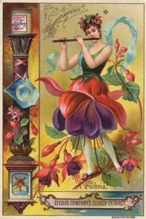 Picture series Flower spirits, Woman with fuchsia, Liebig picture, digitally restored reproduction