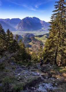 Hiking trail to the Schwarzer Berg with a view of the Hoher Göll, Golling, Osterhorngruppe,