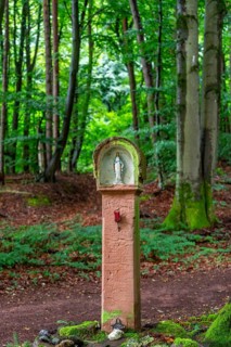 Red sandstone wayside shrine with small Madonna under beech trees, Gailbach, Aschaffenburg,
