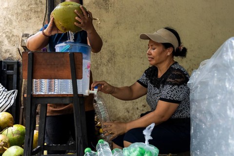 Two asian women extract fresh coconut water using traditional methods. One person pours coconut