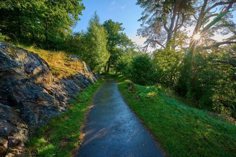 A forest trail runs along rocks surrounded by green trees as the sun shines through the leaves,
