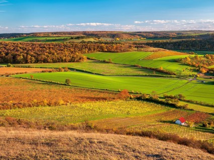 View over colourful vineyards with vineyard cottages in the Unstrut valley in autumn, Saale-Unstrut