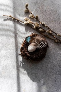 Top view of a small, artisanal nest containing eggs adorned with vibrant feathers, accompanied by