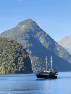 Ship in Doubtful Sound, South Island, New Zealand, Oceania