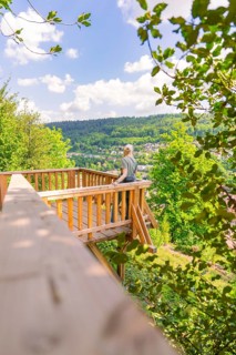 A person stands on a wooden platform with a view of the green valley and the sky, Panorama