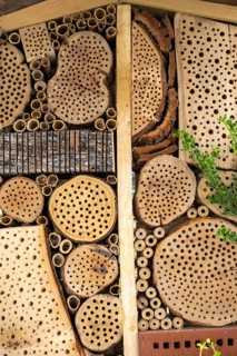 Close-up of an insect hotel with detailed wooden construction and drilled holes, Münsterland, North