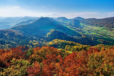 View of an autumnal forest from the Gisliflue, behind the Jura foothills with Wasserfluh and