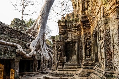 Ta Prohm, Angkor Wat, Angkor, UNESCO World Heritage Site, Siem Reap, Cambodia, Indochina, Southeast