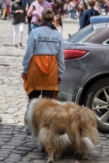 Woman with two collies on a leash, Lviv, Ukraine