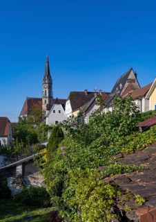 Old town houses with parish church, Steyr, Traunviertel, Upper Austria, Austria