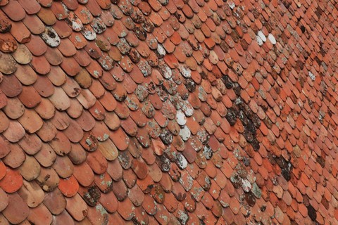 Old roof covering, beaver tail-shaped tiles, partly already weathered or with growth of lichens and