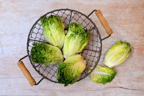 Baby salad, salad in basket with knife