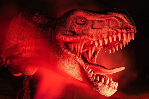 LUBIN, POLAND - AUGUST 15, 2020 - lluminated realistic model of dinosaur Tyranosaurus Rex in Park