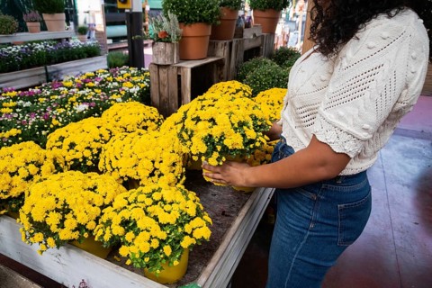 A cropped unrecognizable woman with curly hair is seen shopping at a garden center, carefully