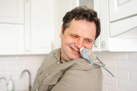 A man smiles warmly as a blue and white budgie perches on his shoulder. Set in a bright kitchen,
