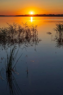 Sunrise at Lake Zwenkau, Leipziger Neuseenland, Saxony, . Germany