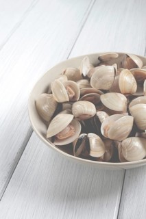 Freshly frozen vongole clams, on a light plate, top view, no people