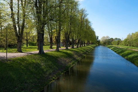 Bothmar Castle Park with avenue of summer lime trees (Tilia platyphyllos) and moat, Klünz,