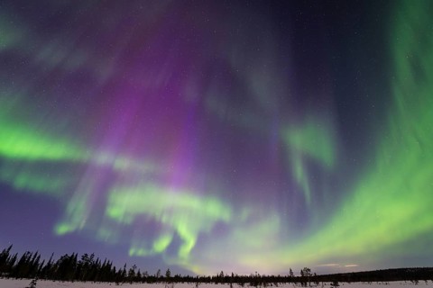 Northern Lights (Aurora borealis), Muddus National Park, Laponia World Heritage Site, Norrbotten,