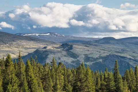 Cloudy sky over mountains, Alvdal Vestfjell, Hedmark, Innlandet, Norway, June 2025