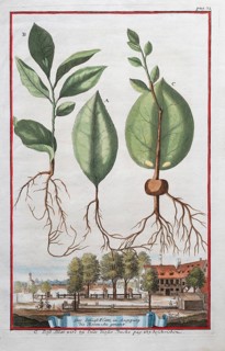 The shooting range in Augsburg, hand-coloured copperplate engraving or copper etching by Johann