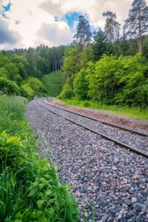 Tracks run through a green, wooded landscape. Mainly grass in the foreground, gravel along the