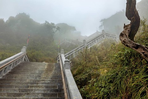 Stone steps leading through a dense forest in the fog, conveying a mysterious feeling, fog in the