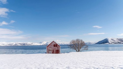 Idyllic winter scene in Botnhamn, Norway, featuring a solitary red barn and a barren tree against a