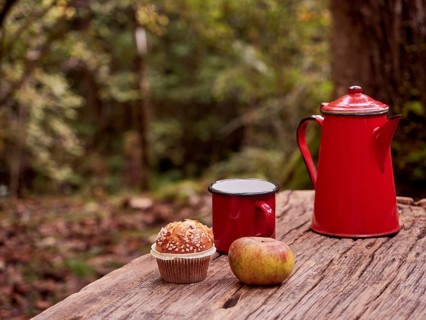 Winter picnic in the forest. Red vintage coffee pot and mug, cupcake and apple on a wooden table.
