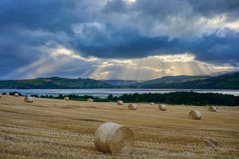 Field with bales of straw under a sky full of dramatic rays of light, mountains in the background,