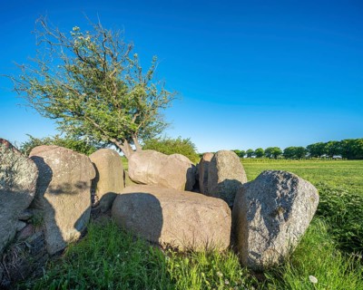Field landscape with megalithic grave, dolmen, dolmen grave, Rerik, Mecklenburg-Western Pomerania,